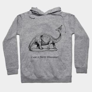 Party Dinosaur Hoodie